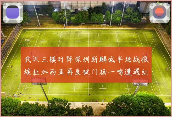 武汉三镇对阵深圳新鹏城半场战报埃杜加西亚再度破门杨一鸣遭遇红牌处罚