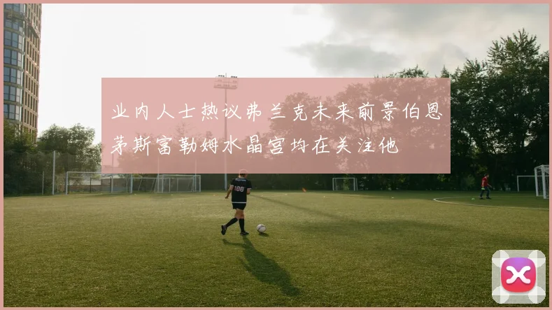 业内人士热议弗兰克未来前景伯恩茅斯富勒姆水晶宫均在关注他